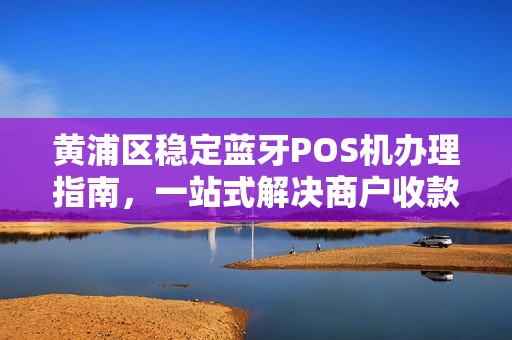 黄浦区稳定蓝牙POS机办理指南，一站式解决商户收款需求