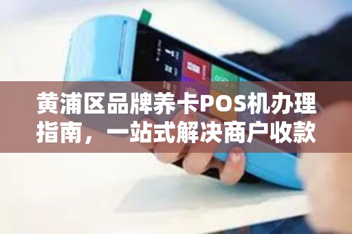 黄浦区品牌养卡POS机办理指南，一站式解决商户收款需求