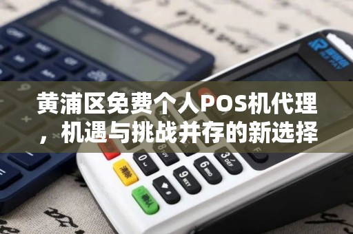 黄浦区免费个人POS机代理，机遇与挑战并存的新选择