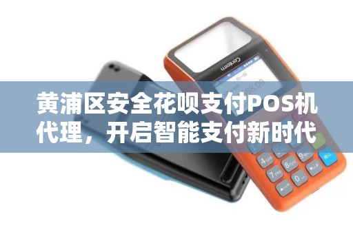 黄浦区安全花呗支付POS机代理，开启智能支付新时代