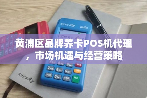 黄浦区品牌养卡POS机代理，市场机遇与经营策略