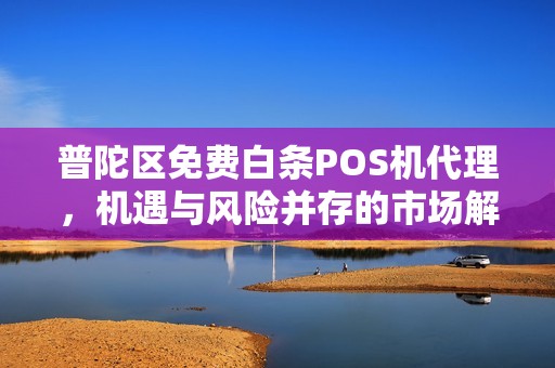 普陀区免费白条POS机代理，机遇与风险并存的市场解析
