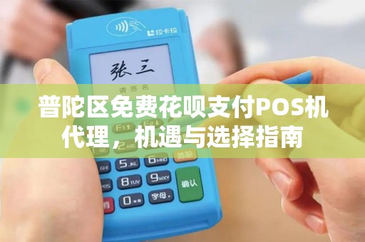 普陀区免费花呗支付POS机代理，机遇与选择指南