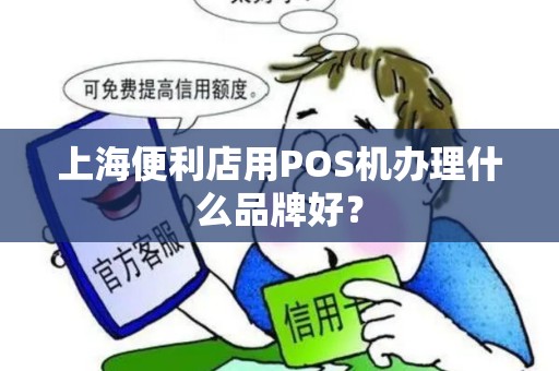 上海便利店用POS机办理什么品牌好？