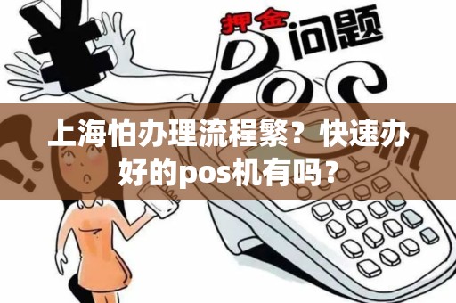 上海怕办理流程繁？快速办好的pos机有吗？