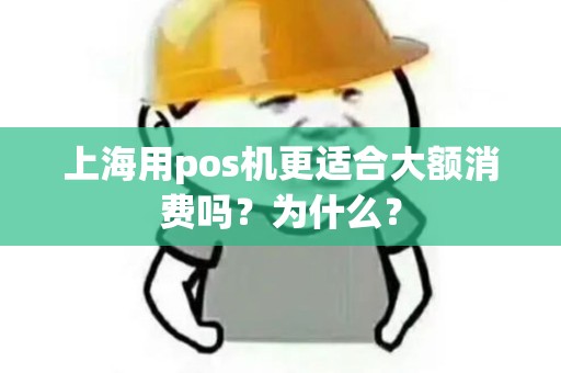 上海用pos机更适合大额消费吗？为什么？