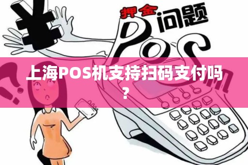 上海POS机支持扫码支付吗？