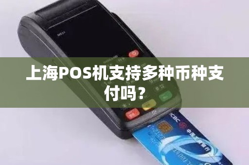 上海POS机支持多种币种支付吗？