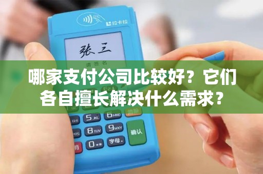 哪家支付公司比较好？它们各自擅长解决什么需求？