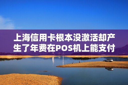 上海信用卡根本没激活却产生了年费在POS机上能支付这笔年费吗？
