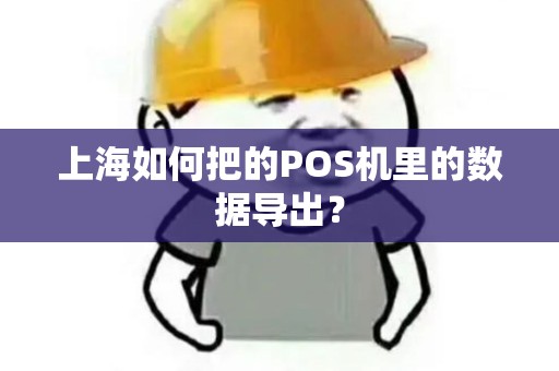 上海如何把的POS机里的数据导出？