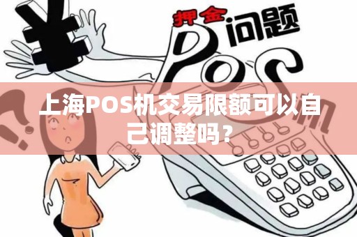 上海POS机交易限额可以自己调整吗？