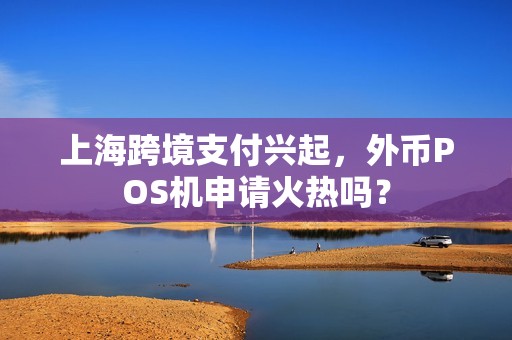 上海跨境支付兴起，外币POS机申请火热吗？