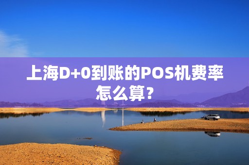 上海D+0到账的POS机费率怎么算？