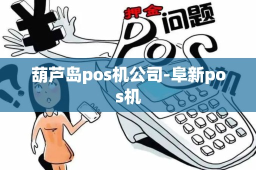 葫芦岛pos机公司-阜新pos机