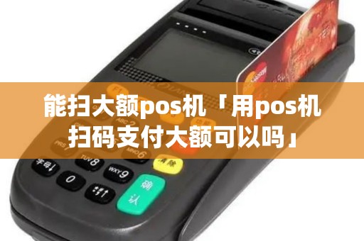能扫大额pos机「用pos机扫码支付大额可以吗」