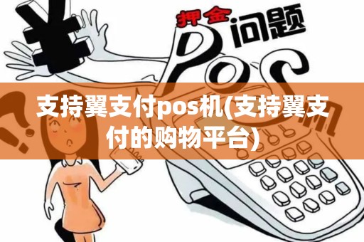 支持翼支付pos机(支持翼支付的购物平台)