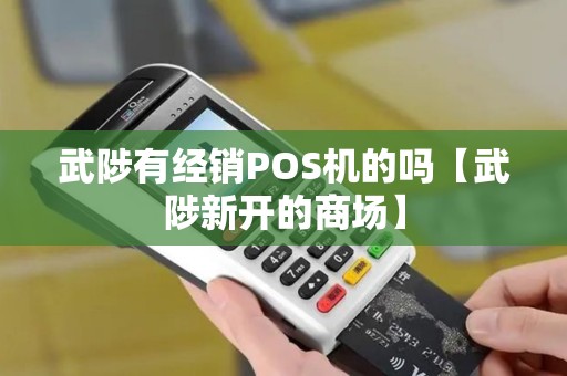 武陟有经销POS机的吗【武陟新开的商场】