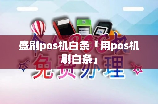 盛刷pos机白条「用pos机刷白条」