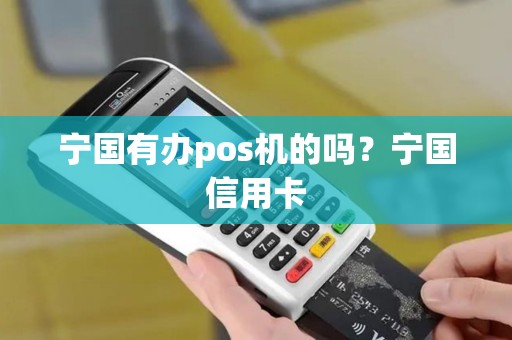 宁国有办pos机的吗？宁国信用卡
