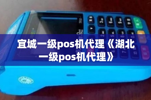 宜城一级pos机代理《湖北一级pos机代理》