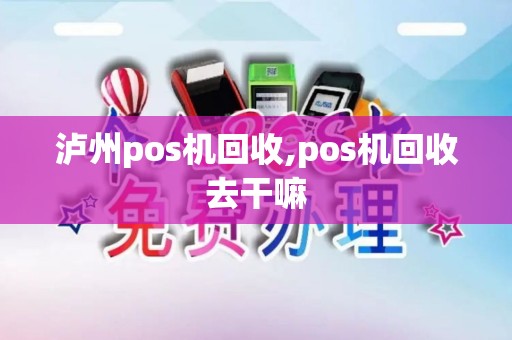 泸州pos机回收,pos机回收去干嘛