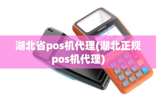 湖北省pos机代理(湖北正规pos机代理)