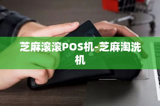 芝麻滚滚POS机-芝麻淘洗机