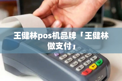 王健林pos机品牌「王健林做支付」
