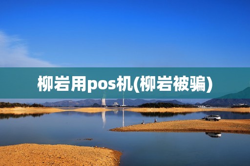 柳岩用pos机(柳岩被骗)