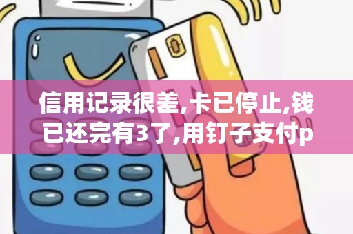信用记录很差,卡已停止,钱已还完有3了,用钉子支付pos机...