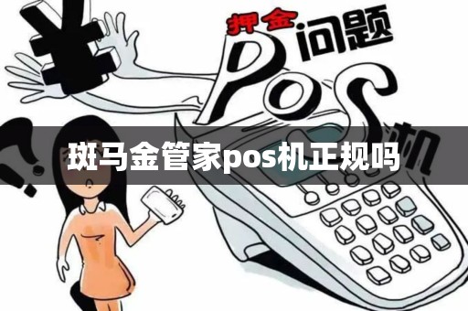 斑马金管家pos机正规吗