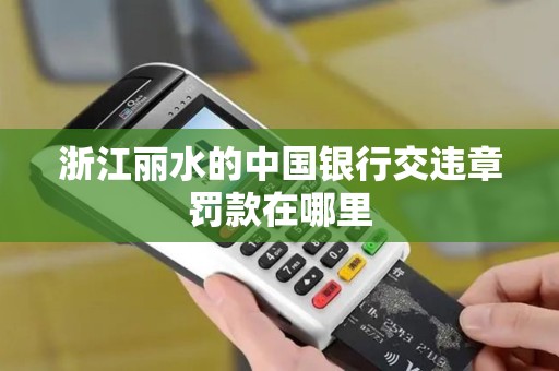 浙江丽水的中国银行交违章罚款在哪里