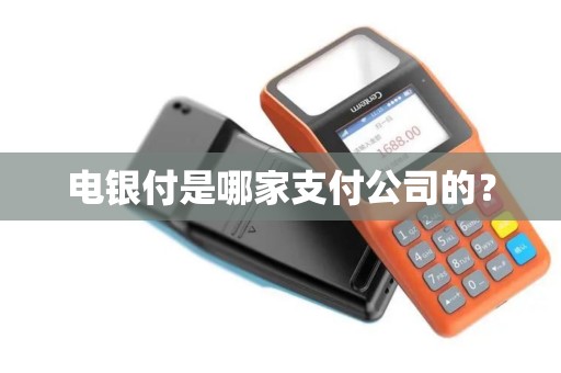 电银付是哪家支付公司的？