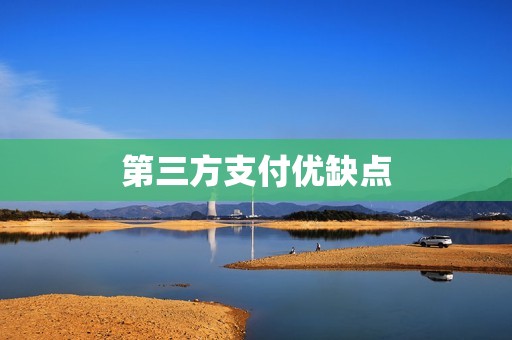第三方支付优缺点