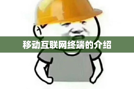 移动互联网终端的介绍