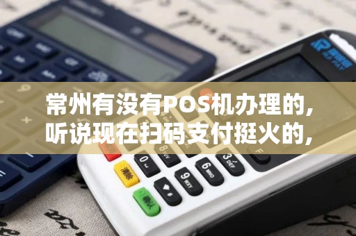 常州有没有POS机办理的,听说现在扫码支付挺火的,在哪办...