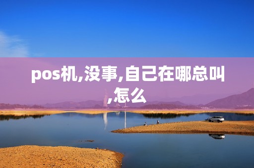 pos机,没事,自己在哪总叫,怎么