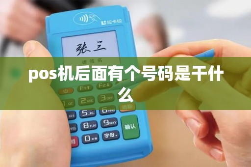 pos机后面有个号码是干什么