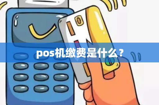 pos机缴费是什么？