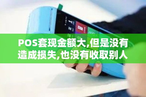 POS套现金额大,但是没有造成损失,也没有收取别人刷卡的...