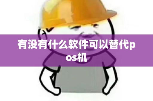 有没有什么软件可以替代pos机