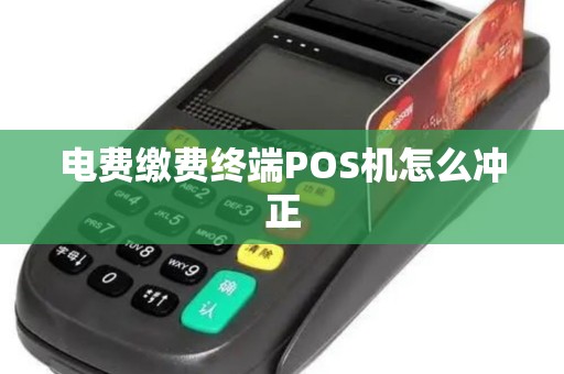 电费缴费终端POS机怎么冲正