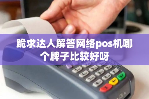 跪求达人解答网络pos机哪个牌子比较好呀
