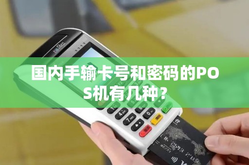国内手输卡号和密码的POS机有几种？