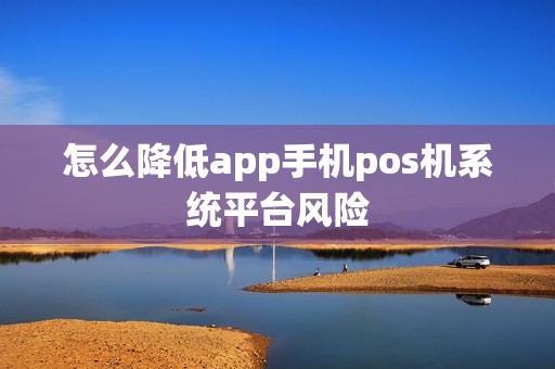 怎么降低app手机pos机系统平台风险