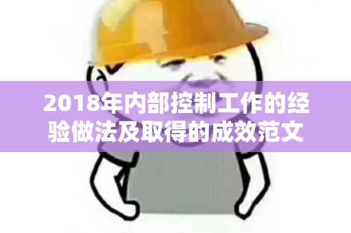 2018年内部控制工作的经验做法及取得的成效范文