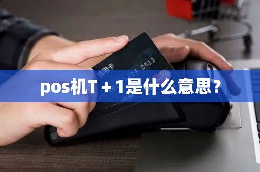 pos机T＋1是什么意思？