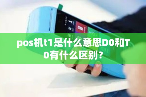 pos机t1是什么意思D0和T0有什么区别？