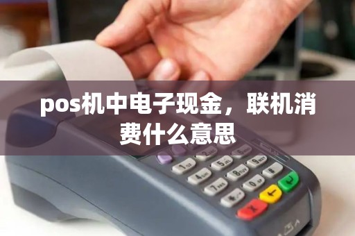 pos机中电子现金，联机消费什么意思